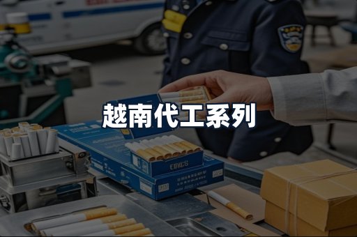 越南代工系列